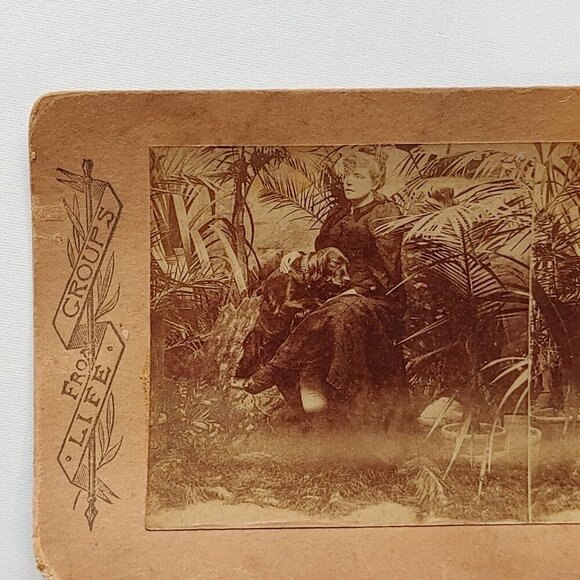 ANTIQUE Stereograph Card Victorian Woman and Bloodhound in Garden - Picture 2 of 4